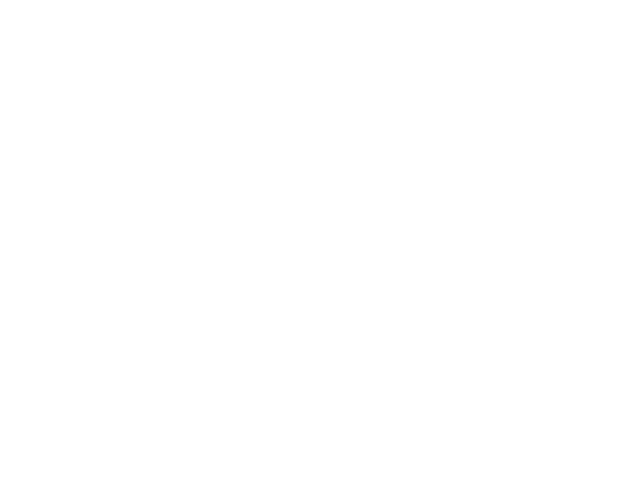The Dave Magua Group